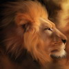 LionSpirit